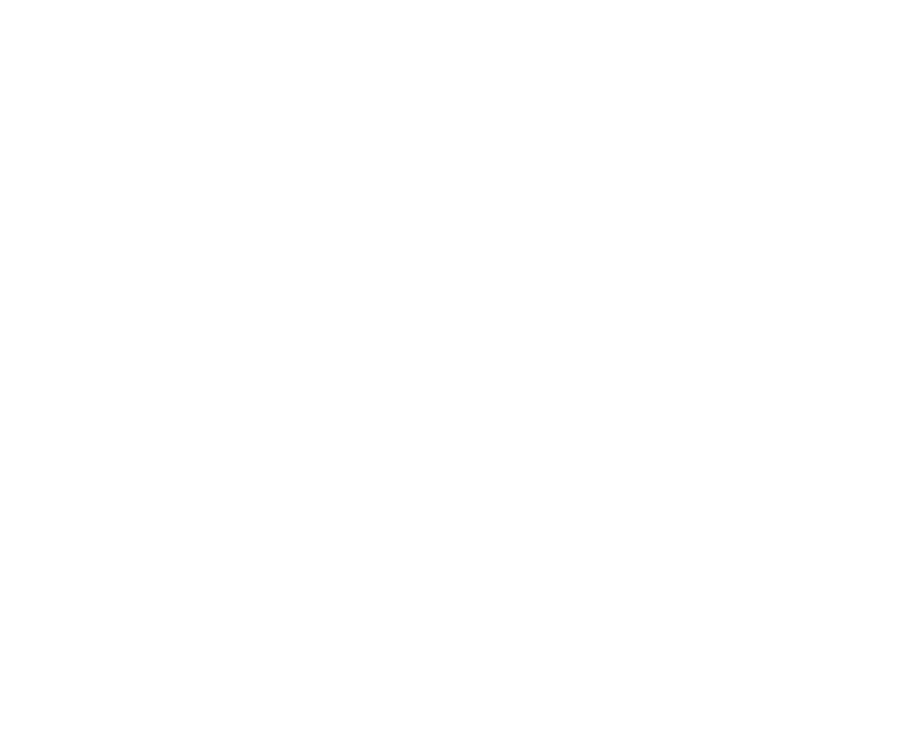 Best Web Designers in Tampa